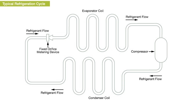 evaporator working