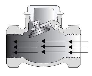 B5