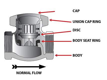 B6