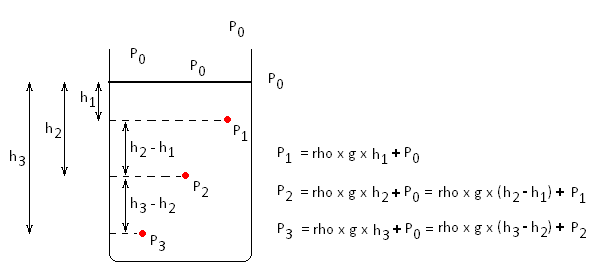 Bernoulli Picture