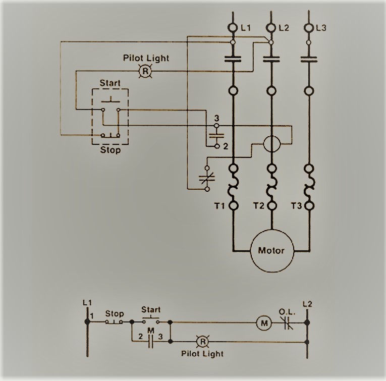 Motor Control Functional Testing